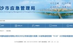 国产精品一级毛片,揭秘一级毛片的魅力与争议